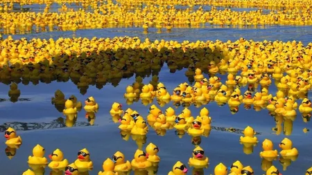 The Great Rubber Duck Spill of 1992