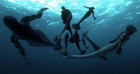 Fake Mermaid Documentary on Animal Planet Convinced Many Viewers Mermaids Were Real