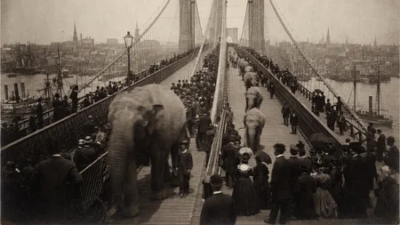 P.T. Barnum led 21 elephants - including the famous Jumbo - across the Brooklyn Bridge to prove it w