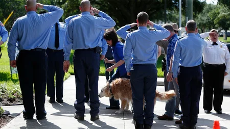 Bretagne, a golden retriever, worked Ground Zero for 10 days after 9/11 as a 2-year-old. She later r