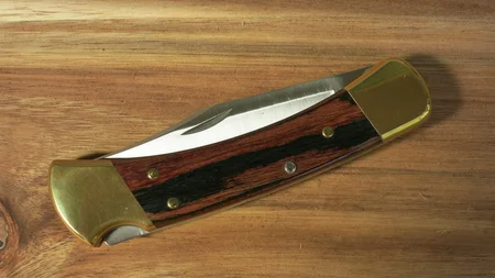 The Buck 110 is the brass-and-wood folding knife in a million pockets. At 13, Hoyt Buck forged his f