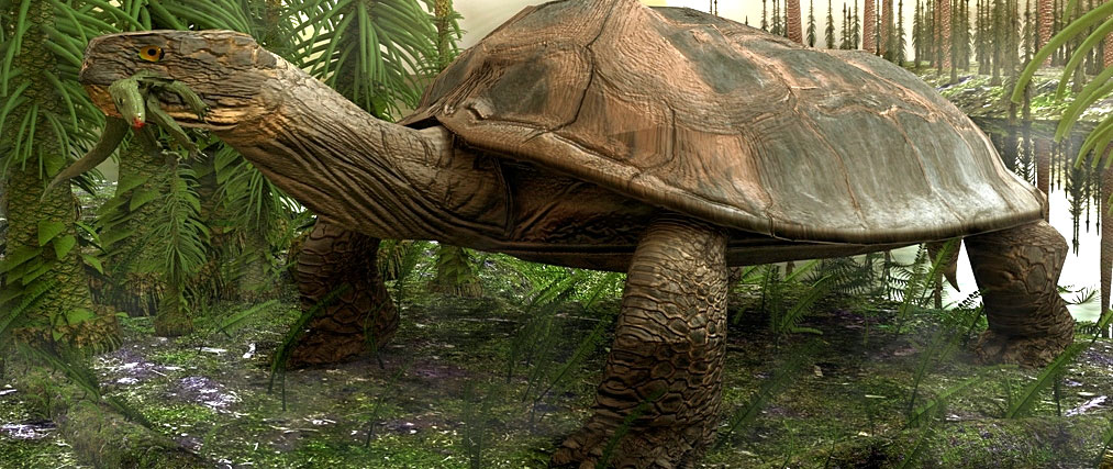 There was a species of turtle that was so big and powerful, it could eat a crocodile