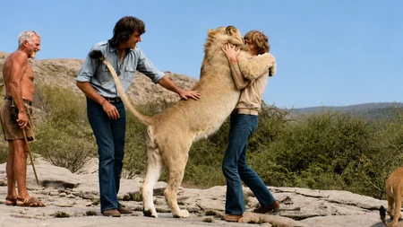 Two young Australians bought a lion cub from Harrods for 250 guineas in 1969 and raised him in a Che