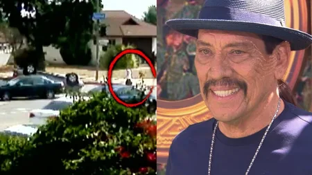 Hollywood casts Danny Trejo as the villain in over 400 films - because he spent 11 years in and out 
