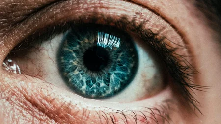 Due to the angle at which the optic nerve enters the brain, staring at a blue surface during sex gre