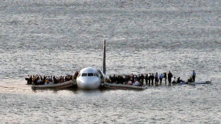 A flock of Canada geese knocked out both engines of US Airways Flight 1549 roughly two minutes after