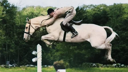 Harry deLeyer arrived late to a 1956 horse auction. He paid $80 to save a gray plow horse already he
