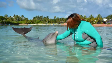 A Dolphin Named Kelly Invented Her Own Economy and Trained Her Trainers