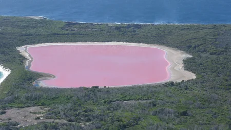Lake Hillier sits on a remote island off Western Australia. For 200 years, it stayed bubblegum pink 