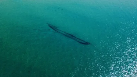 Lake Michigan turned crystal clear turquoise in April 2015. A Coast Guard helicopter crew spotted so