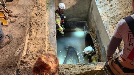 Melby the manatee swam up a Florida storm drain chasing warm water during a cold snap and got stuck 