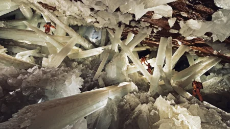 Miners in Mexico found a hidden cave in 2000 with the largest crystals on Earth. The crystals were w