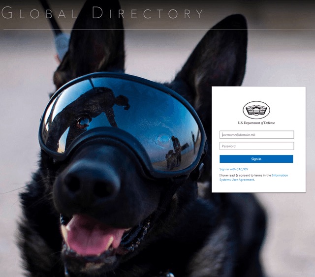 Close-up screenshot or photo of the actual US Department of Defense Global Directory login page showing Nick's goggled portrait as the background image