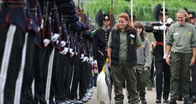 Sir Nils Olav: Norway's Colonel-in-Chief of Royal Guard is King Penguin