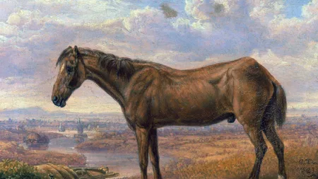 Old Billy was a barge horse in 18th-century England who hauled canal boats for a living. He was born