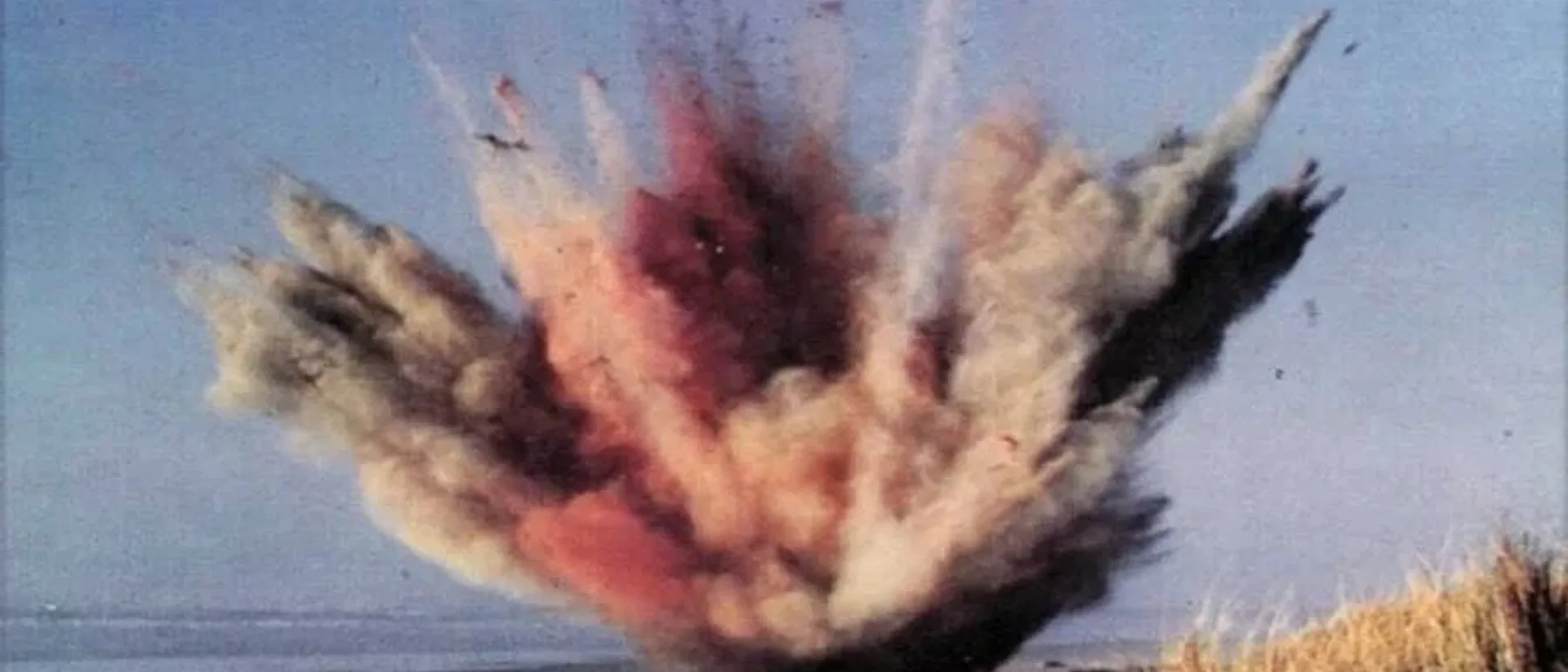 Oregon Blew Up a Whale With Half a Ton of Dynamite. Blubber Crushed a Car From a "Whale of a Deal" Sale.