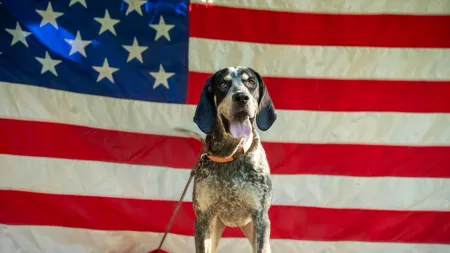 A Kentucky Town Has Elected Dogs as Mayor for 25 Years. No Human Has Bothered Running.
