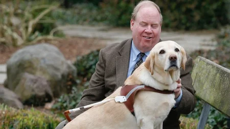 On September 11, 2001, a yellow Labrador named Roselle was asleep under her owner's desk on the 78th