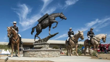 Sergeant Reckless was a Mongolian mare bought for $250 by US Marines in 1952. During one day of batt