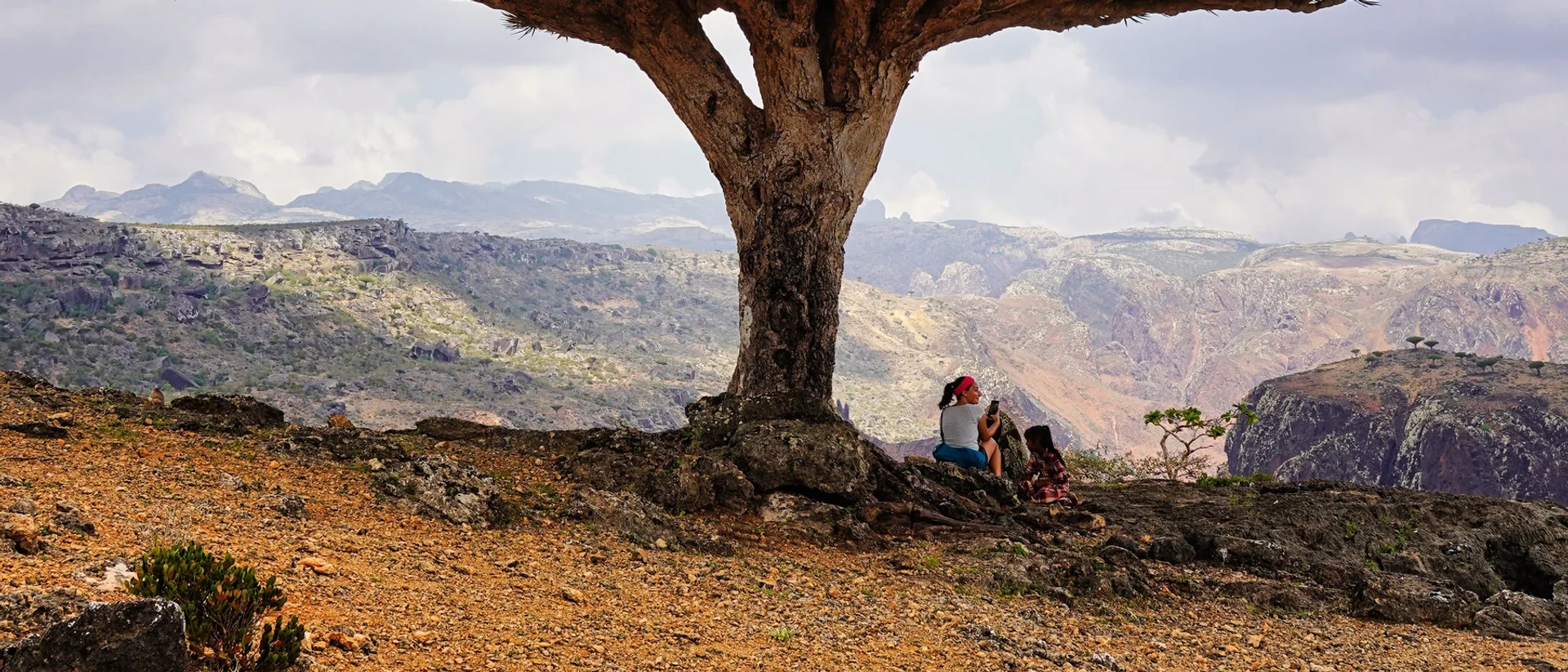 Socotra: The Island That Looks Like Another Planet