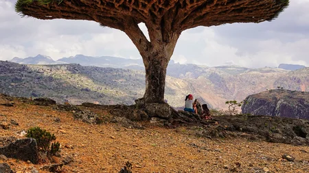 Socotra: The Island That Looks Like Another Planet