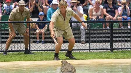 Steve Irwin's family never walked away. After he died on September 4, 2006, Australia bought 330,000