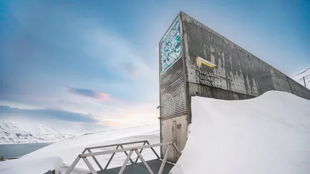 The Svalbard Global Seed Vault is drilled over 100 metres into an Arctic mountain in Norway, keeping