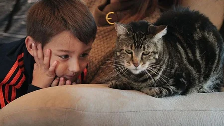 A neighbor's dog attacked 4-year-old Jeremy Triantafilo in his Bakersfield driveway, biting his leg 