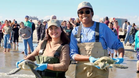 A brutal freeze hit the Texas coast in January 2026. Sea turtles went stiff and floated like they we