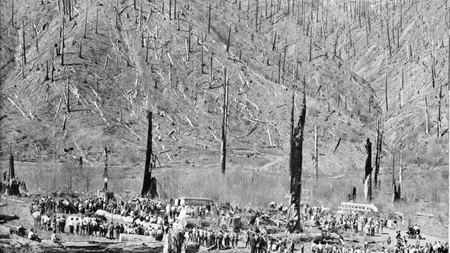 Oregon's Coast Range forest was written off as dead for good after repeated wildfires. Some believed