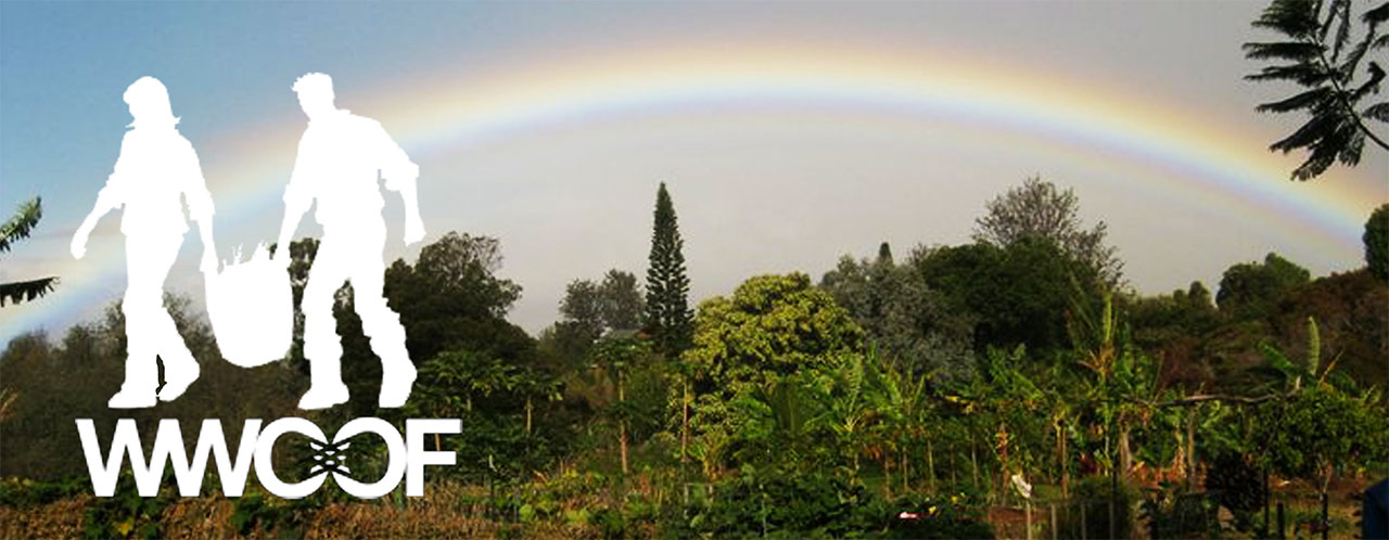 WWOOF: International Volunteer Program Allowing You to Travel World, Food/Housing Covered