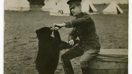Winnie-the-Pooh was a real bear. Harry Colebourn, a Canadian soldier headed to WWI, bought an orphan