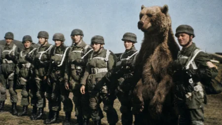 In 1943, Polish soldiers in Iran bought a bear cub from a young boy, bottle-fed him on condensed mil