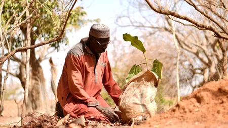 Yacouba Sawadogo was a farmer in Burkina Faso who fought the desert with holes. He spent four decade