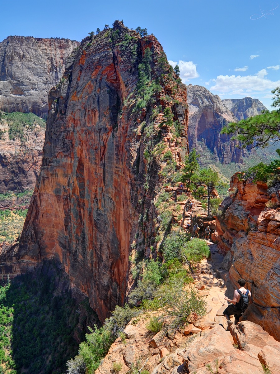 Hikers climbing the narrow sandstone ridge near the summit of Angels Landing in Zion National Park, with sheer drop-offs to the canyon floor on both sides